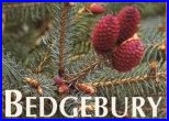 Bedgebury National Pinetum